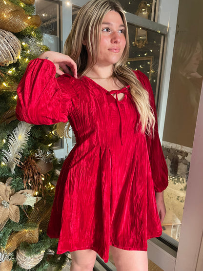 Ribbon and Holly